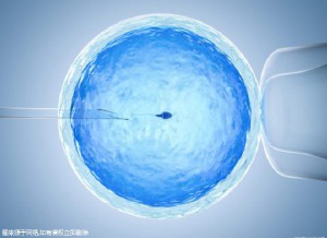 代生男孩机构